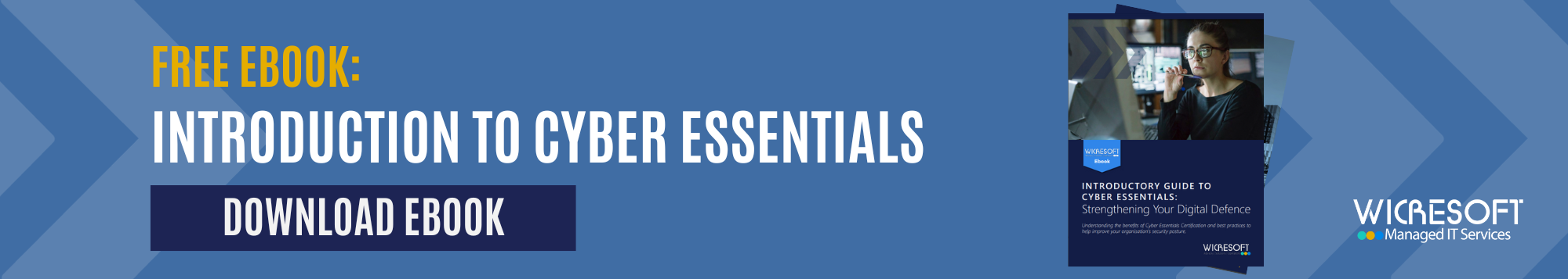 Download our Free Cyber Essentials Ebook 