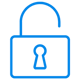 Cyber Security Icon